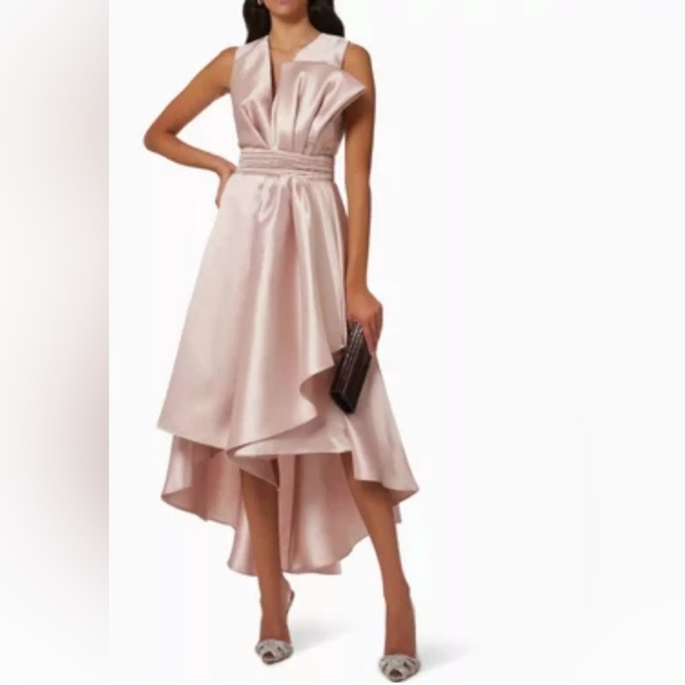 NWT Sachin & Babi Sizes 2,4 Jenna Peony / Pink High - Low Gown Dress
